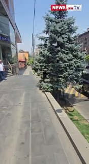 Араик Арутюнян на заседании правительства в Вайоц-Дзоре