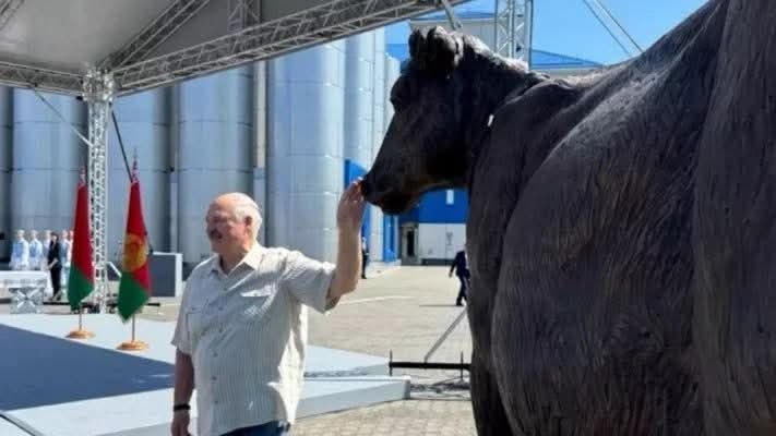 Бронзовая статуя коровы, подаренная Лукашенко на заводе в Березе