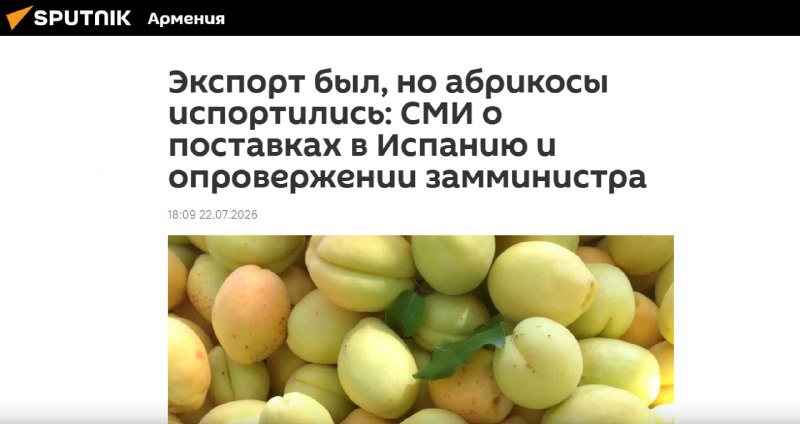 В Армении стартовал сезон абрикосов: урожай обещает быть обильным