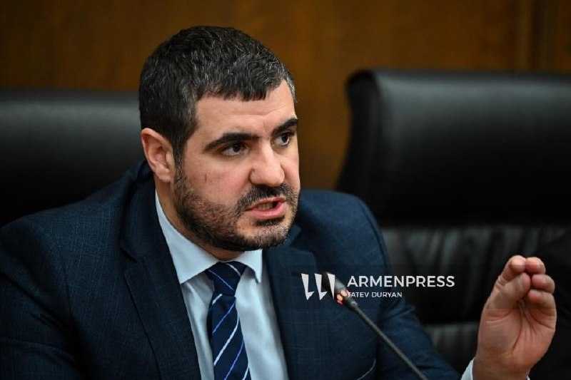 Арман Егоян выступает с заявлением об энергетической торговле в Вайке