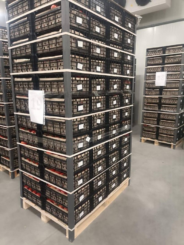 Армянская сельскохозяйственная продукция поступила в Грузию