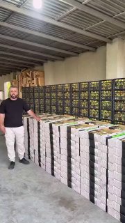 Первая партия армянских абрикосов компании Davtyan Farms отправляется в Сингапур