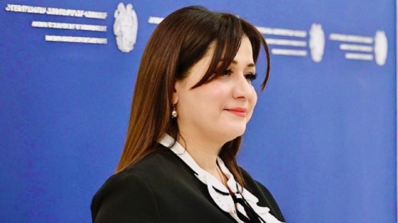 Назели Багдасарян, пресс-секретарь премьер-министра Армении, на рабочем месте