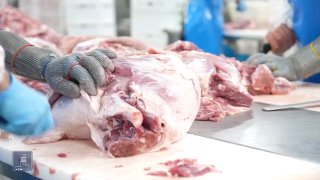 Производственный цех компании «Атенк» в Вайоц-Дзоре