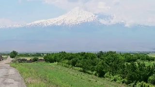 Армянские абрикосы оказались в центре геополитического противостояния России и ЕС