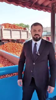 Сбор томатов в Вайке, Вайоц-Дзор: фермеры и министр экономики Геворг Папоян