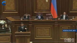 Сюзанна Аветисян на заседании фракции