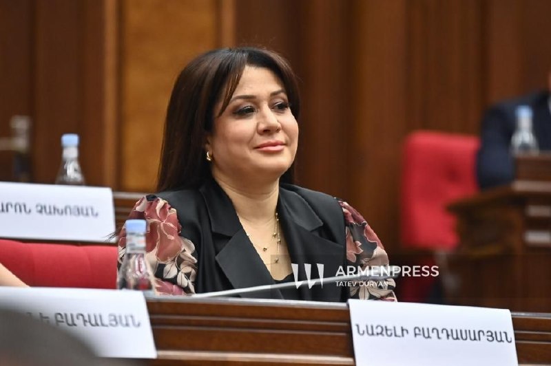 Вайк: Назели Багдасарян претендует на пост главы комиссии по труду и соцвопросам