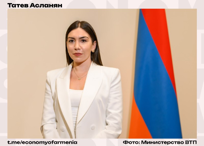 Татев Асланян, новый замминистра высоких технологий Армении, на фоне Еревана