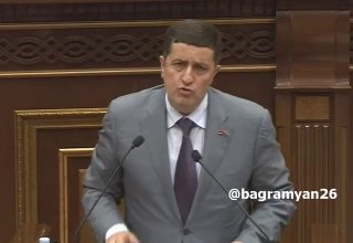 Заседание парламента в Вайке, Давид Казинян у микрофона
