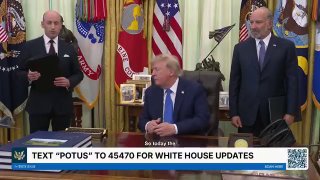 Стивен Миллер выступает с заявлением об указах Трампа
