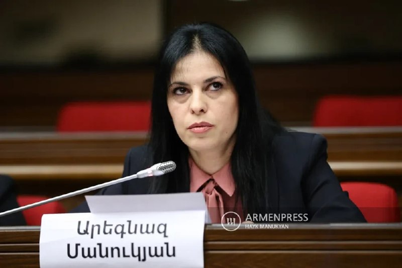 Арегназ Манукян, член правления партии «Мать Армения», Вайк